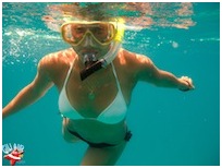 Snorkelling Gili Air  Divers - Gili Meno Divers Gili Trawangan Lombok Bali Indonesia